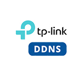 DDNS на TP-Link