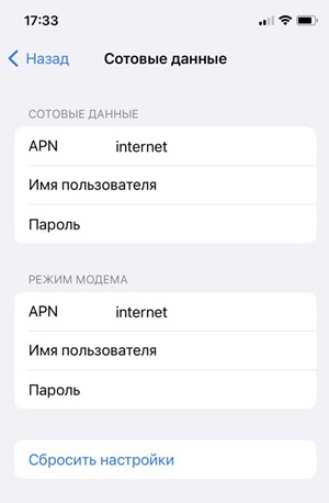 Настройка APN для раздачи интернета через режим модема на iPhone